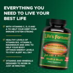 1738421614 Lifes Fortune Multivitamin All Natural Energy Source Supplying Whole Food Concentrates Antioxidants Amino Acids Enzymes Trace Minerals More 180 Count Pack of 1